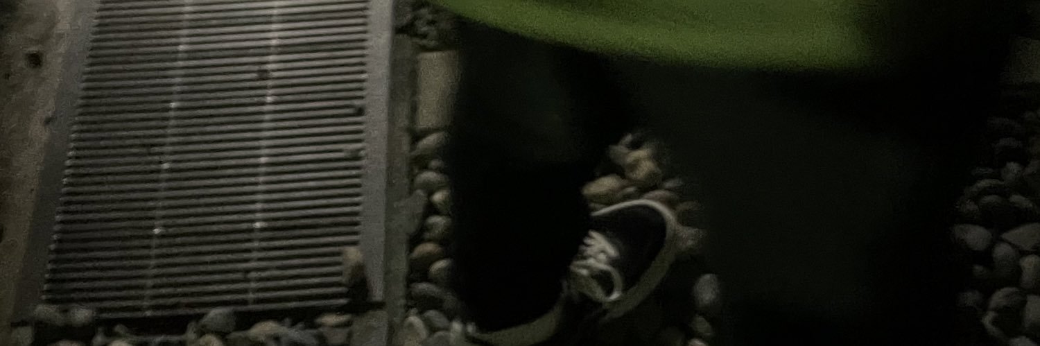 ninooomiyaaaa's profile banner image