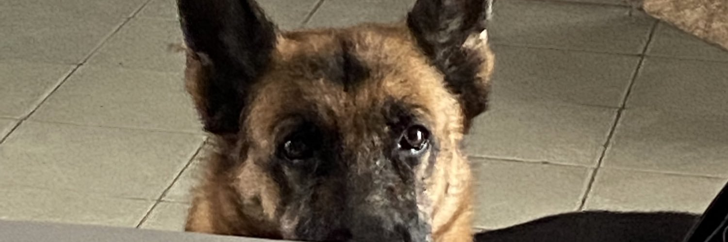Paujotaa's profile banner image
