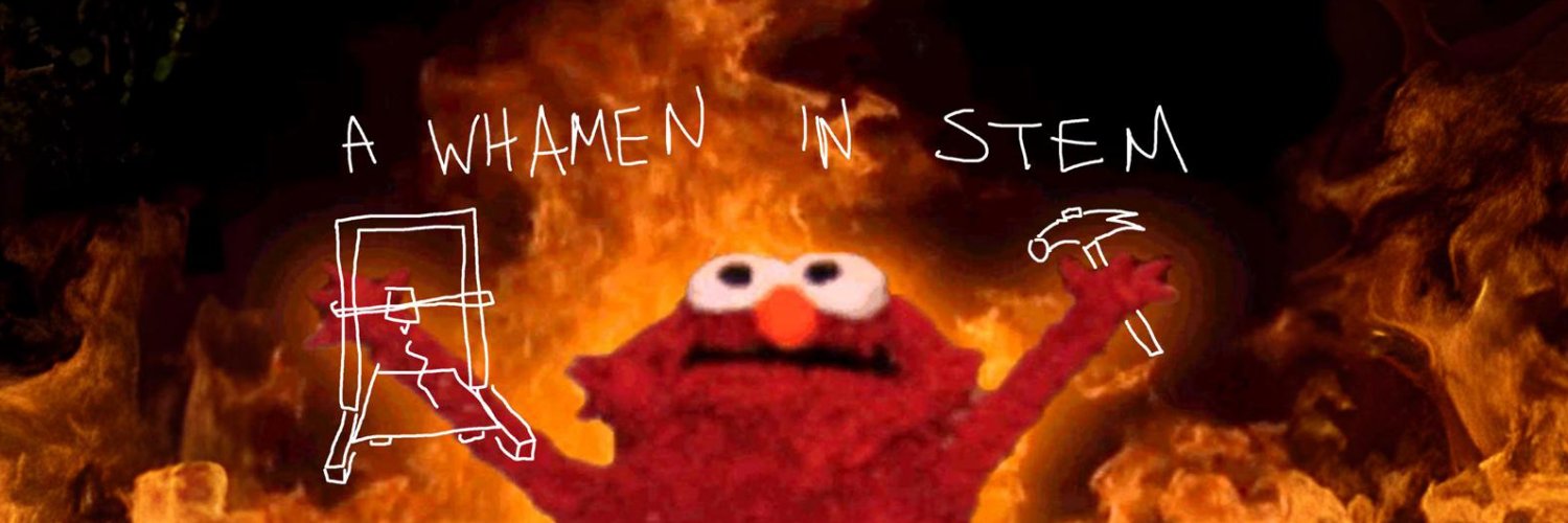 Emily The Engineer banner