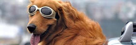 Luis de Moretz banner