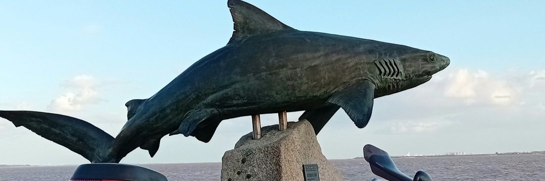 Iain-Pedalski banner