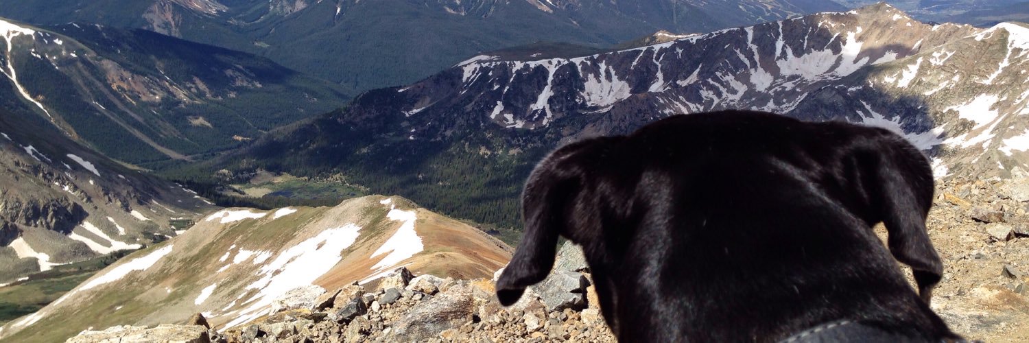 Natalia Semaszczuk banner
