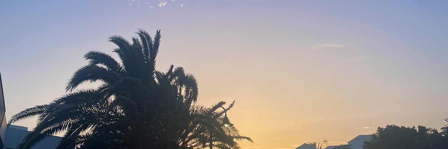 lillidean's profile banner image