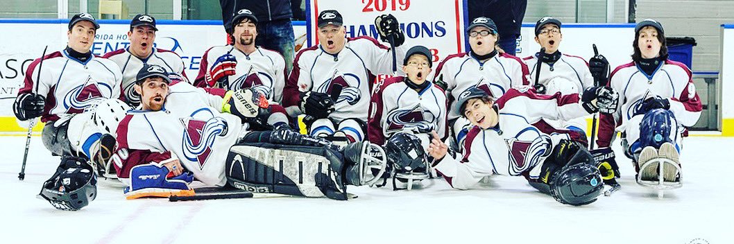 Colorado Avs Sled banner