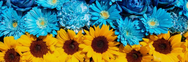 F10Dfjtu Profile Banner