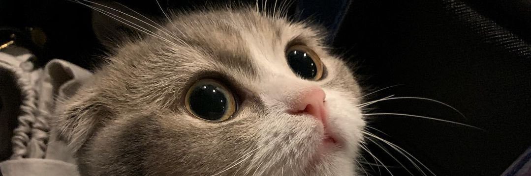 DekJae's profile banner image
