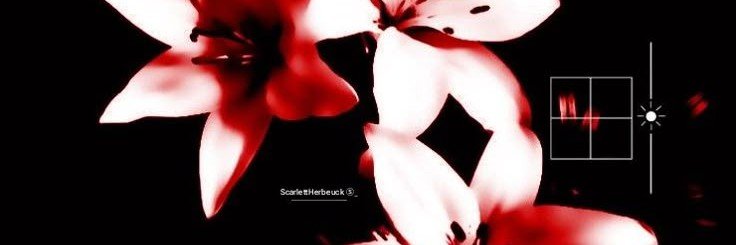 Isaccxshi's profile banner image