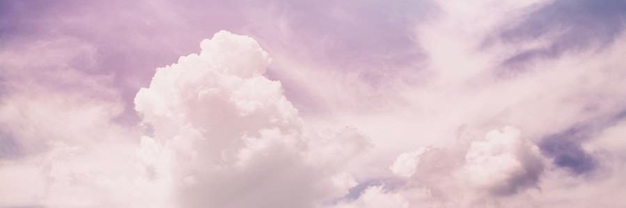 noah troye banner
