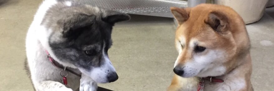 コマツソウイチ banner