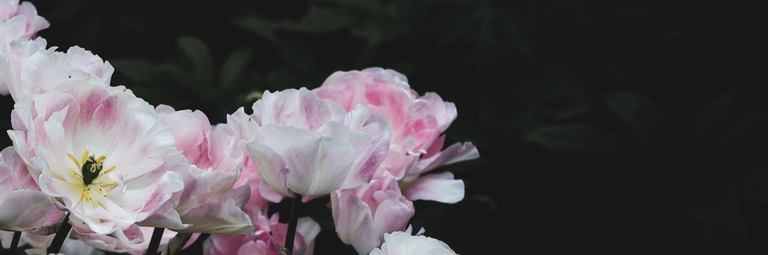 maychimaycha's profile banner image