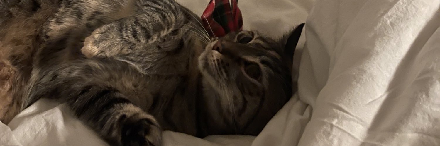 miffymuffins's profile banner image