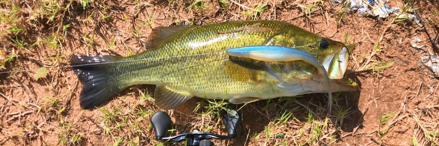 pewpewfishing's profile banner image