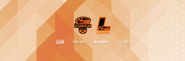 LLCeSports Profile Banner