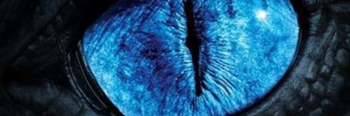 SelmanUslu7's profile banner image