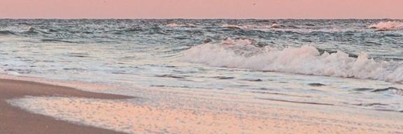 WishingWalrus's profile banner image