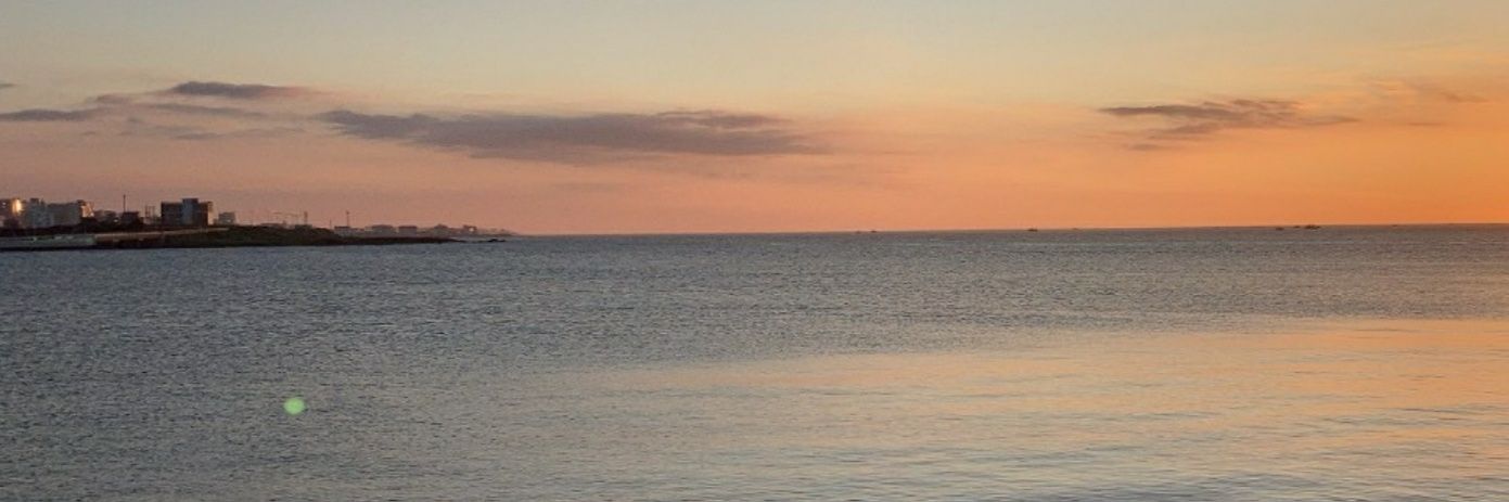 F_wonderwander's profile banner image