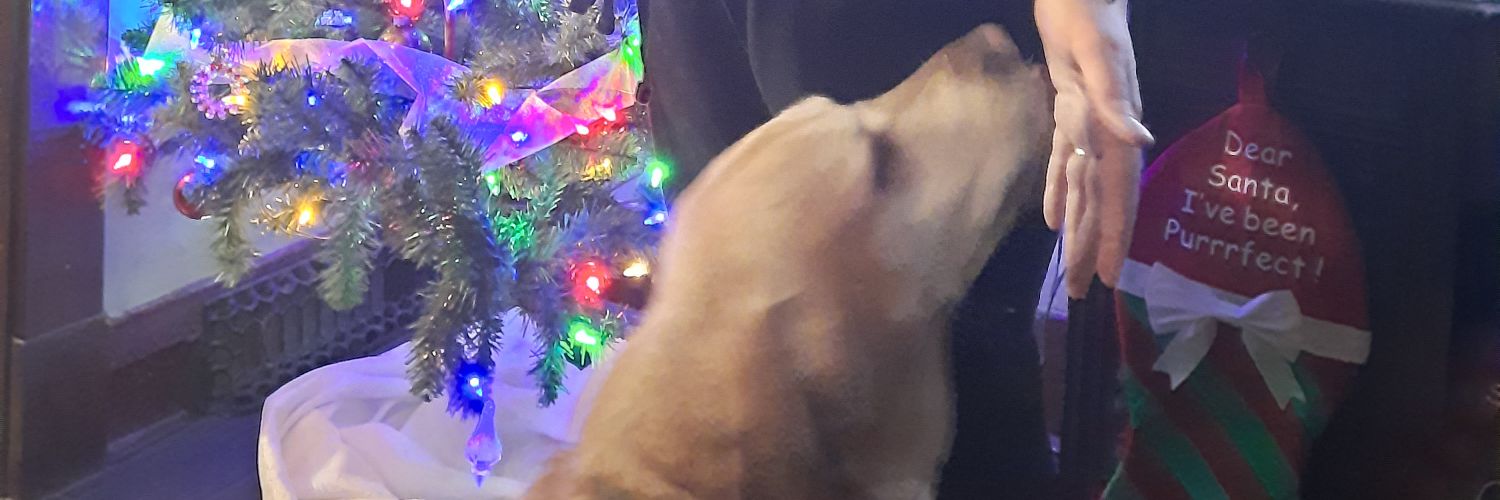 sMiLeY_8D's profile banner image