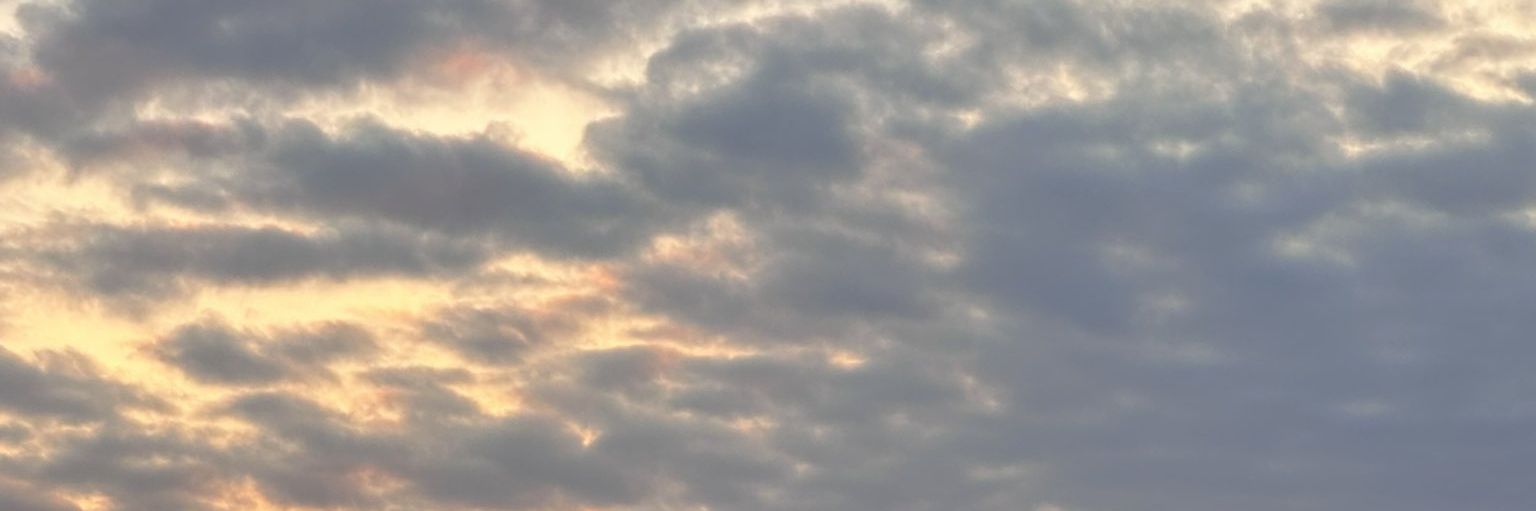 mightyheeseung's profile banner image