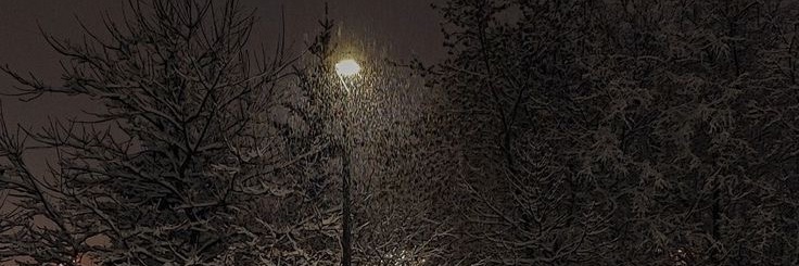 _PALLOM_'s profile banner image