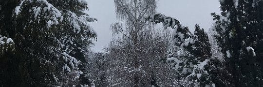 Gülün baş belası🫶 öylesine biri❄ banner