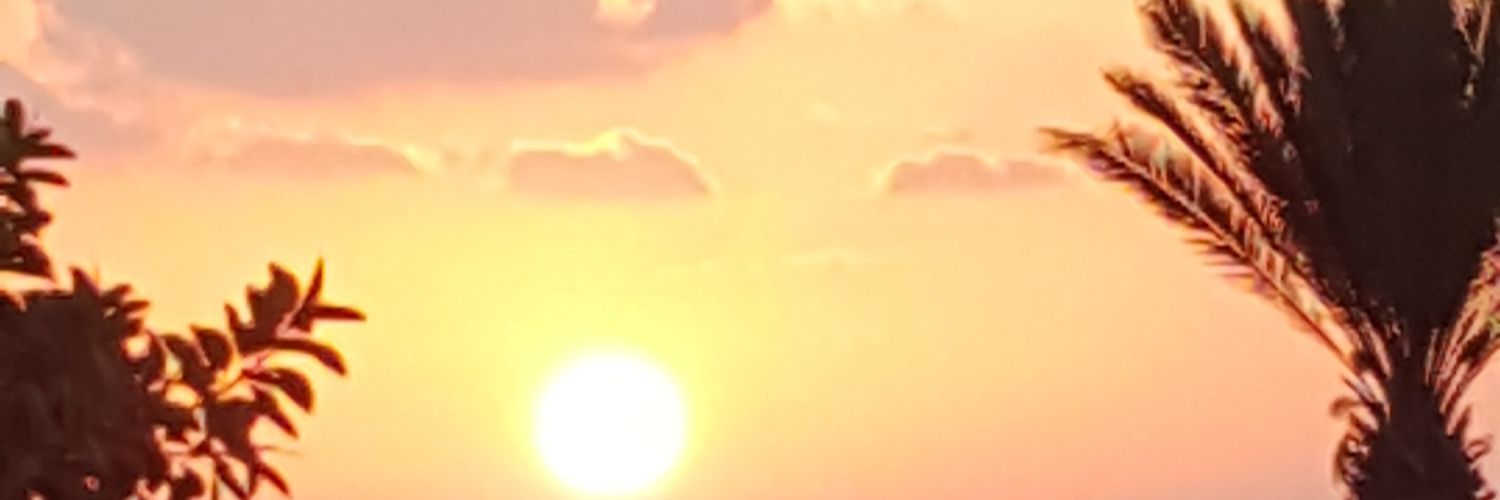 Susanpoll's profile banner image