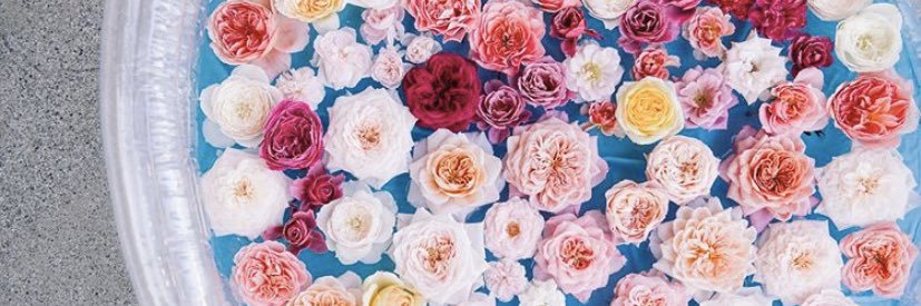 ktnooo_'s profile banner image