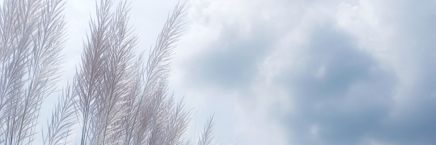 Snee08's profile banner image