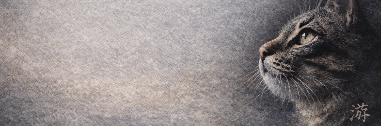 游 banner