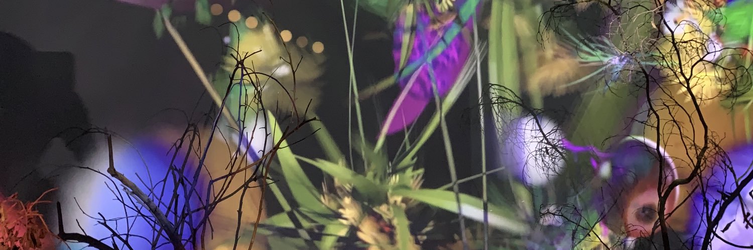breezle6's profile banner image