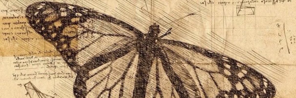 ELYTRAINNIT's profile banner image