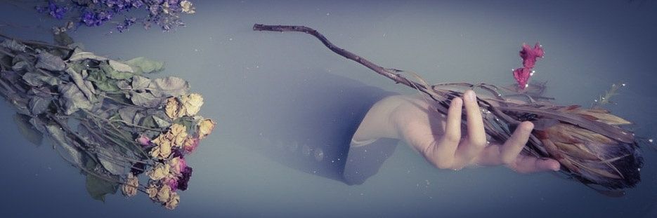 windwardbird's profile banner image