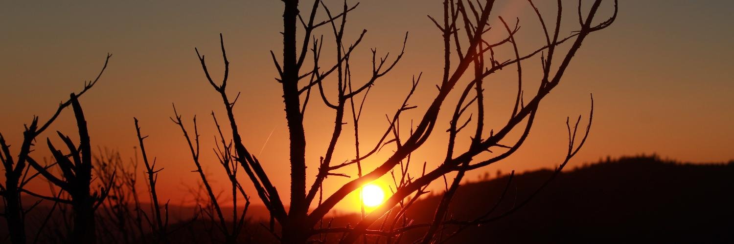 SSharma1105's profile banner image