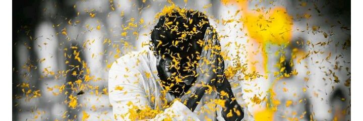 PfizerSai's profile banner image