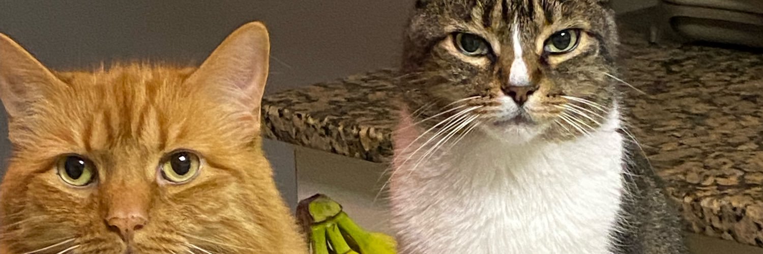 malcolm also at https://masto.ai/@amstanley banner