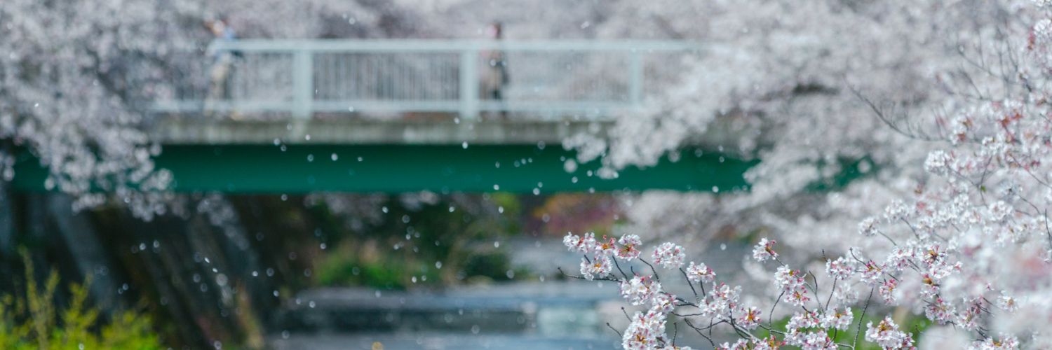 hydechin's profile banner image