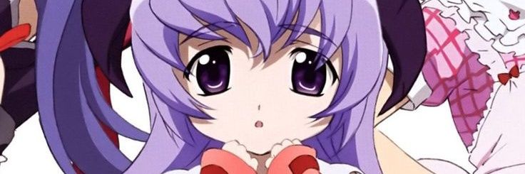 Raiden Fukushima banner