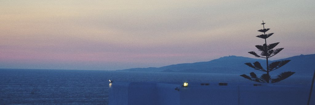 Lacroix_Flora's profile banner image