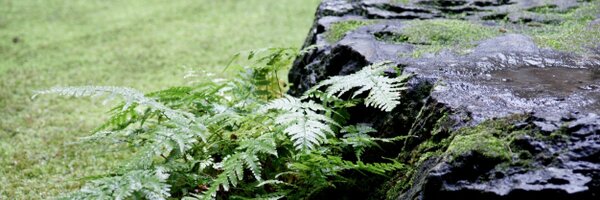 _dieppe Profile Banner