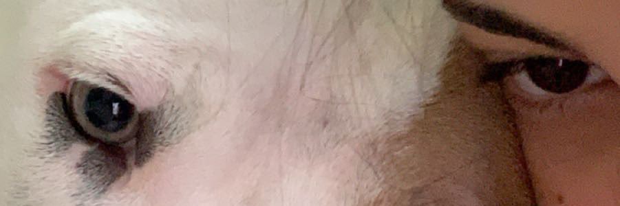 avelauren's profile banner image