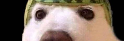 WatermelonDog1's profile banner image