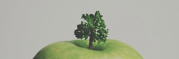 syazeh's profile banner image