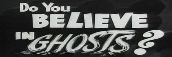 Mimi_166💫🦈🇵🇹 banner