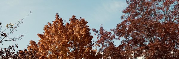 Repvatar Profile Banner