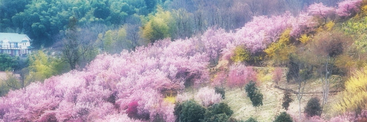 tomitamy's profile banner image
