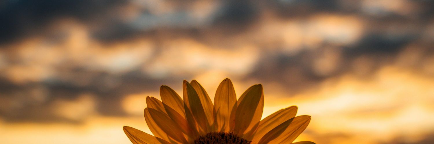 coffe_chill's profile banner image