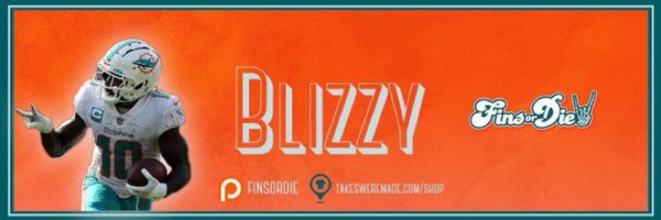 BlizzyFins Profile Banner