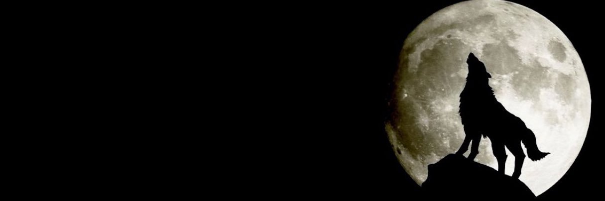 An Era 🐺 banner