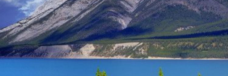 hfff776's profile banner image