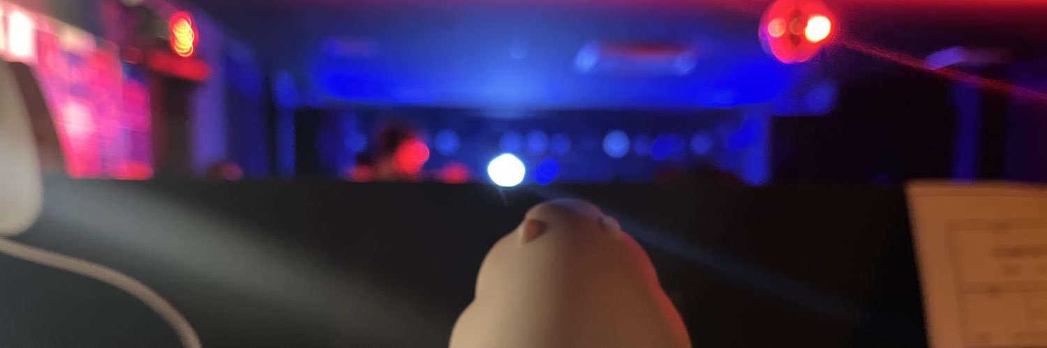 metch_swallow's profile banner image