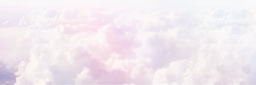 Hayley banner